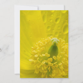 Cartão De Agradecimento Poppy amarelo oriental