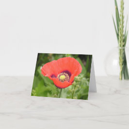 Cartão De Agradecimento Poppy (Papaver somniferum) card