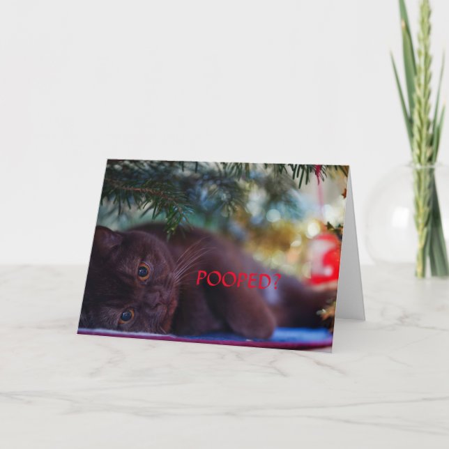 CARTÃO DE AGRADECIMENTO POPULADO? PLACA DE NATAL PARA QUALQUER UM (Frente)