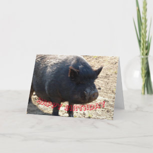 Cartão De Agradecimento Pot bellied pig Birthday card
