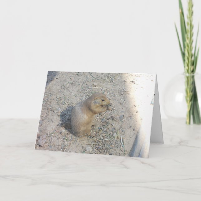 Cartão de Agradecimento "Prairie Dog #2" (Frente)