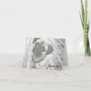 Cartão De Agradecimento Precious Pug Puppy in Black and White