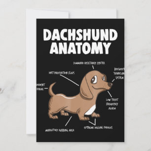 Cartão De Agradecimento Presente para cães  Anatomia Dachshund Funny Weine