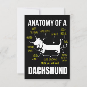 Cartão De Agradecimento Presente para cães  Anatomia De Dachshund