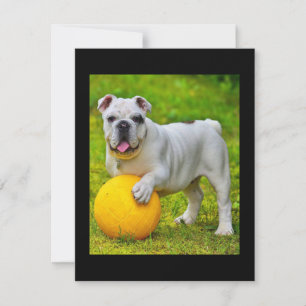 Cartão De Agradecimento Presente para Lover-in-touro de Bulldog de Basquet