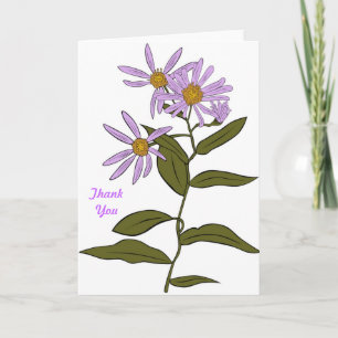 Cartão De Agradecimento Pretty Garden Daisy Aster Flower Blooms Thank You