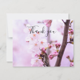 Cartão De Agradecimento Primavera Cherry Blossom Floral Sakura Obrigado