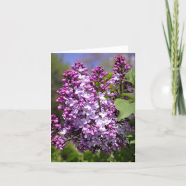 Cartão De Agradecimento Primavera feliz