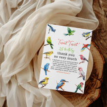 Primeiro aniversario de pássaro