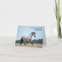 Provérbios 21:31 Verso de Bíblia de Cavalo Selvage