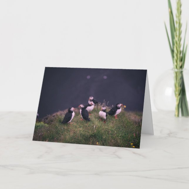 Cartão De Agradecimento Puffins Atlântico (Frente)