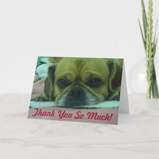 Cartão De Agradecimento PUGGLE Muito obrigado.