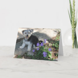 Cartão De Agradecimento Puppy Obrigado