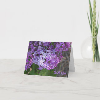 Cartão De Agradecimento Purple Lilacs Folded Thank You Card