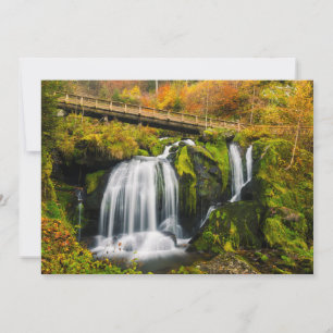 Cartão De Agradecimento Quedas Triberg Waterfall, Alemanha