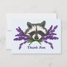 Raccoon com lavanda
