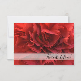 Cartão De Agradecimento Red Carnação Floral Obrigado