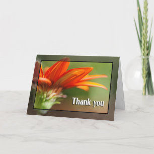 Cartão De Agradecimento Red Gazania Obrigado