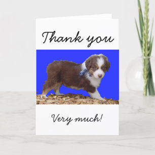 Cartão De Agradecimento Red Tri Aussie Puppy