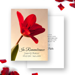 Cartão De Agradecimento Red Tulip Flower Primavera Funeral Simpatia Memori