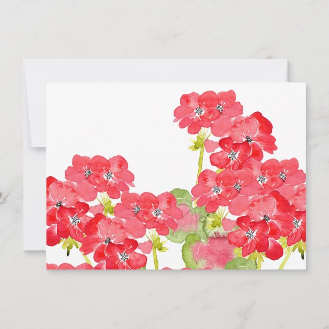 Cartão De Agradecimento Red Watercolor Geraniums (Verso)