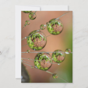 Cartão De Agradecimento Reflexo da Gota de Água