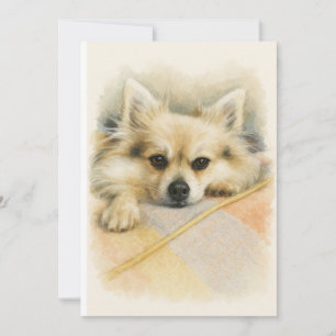 Cartão De Agradecimento Retrato de cachorro Chihuahua Pomerânia aquarela
