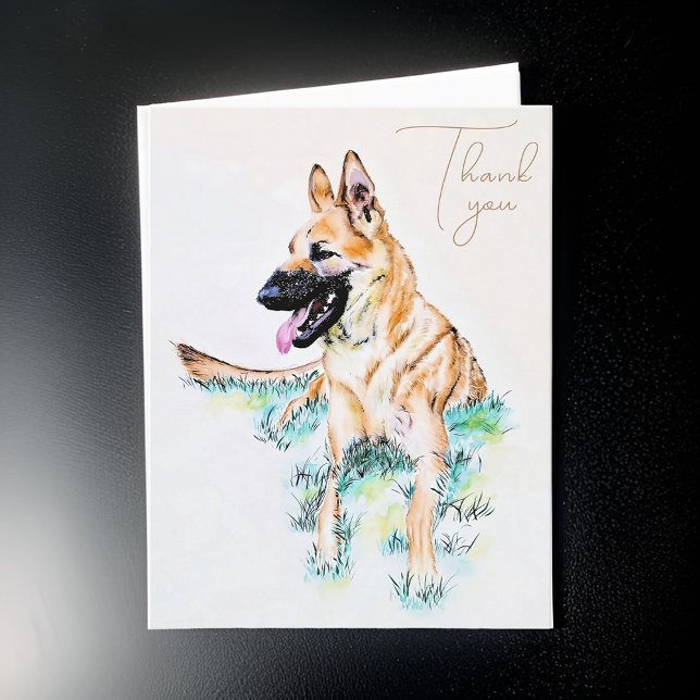 Cartão De Agradecimento Retrato de Cachorro Malinois, German shepherd de A (Criador carregado)