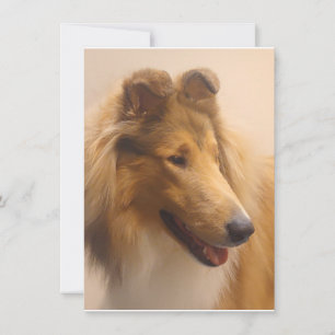 Cartão De Agradecimento Retrato de uma Collie de Aranha