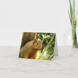 Cartão De Agradecimento Retrato de uma Fotografia de Animal da Natureza de