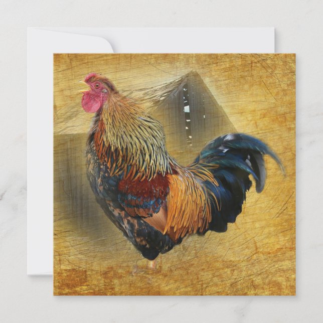 Cartão De Agradecimento Rooster Rustic Barn (Frente)