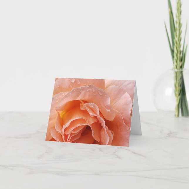 Cartão De Agradecimento rosa ghear depois da chuva (Frente)