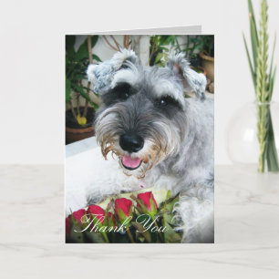 Cartão De Agradecimento Roses For You - Thank You