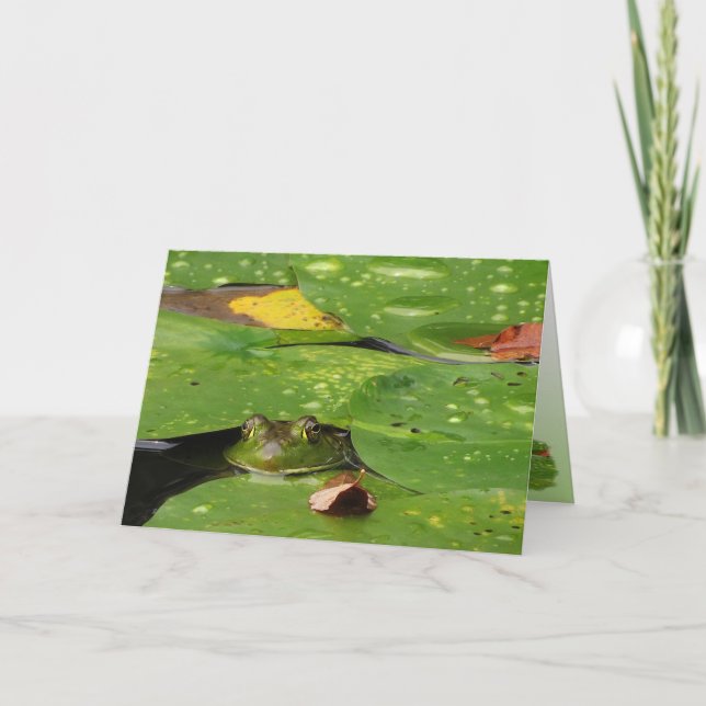 Cartão De Agradecimento Sapo e Lily Pads Obrigado (Frente)
