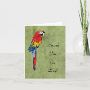 Cartão De Agradecimento Scarlet Macaw Obrigado Notecard