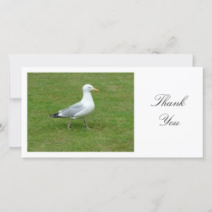 Cartão De Agradecimento Seagull Walling in the Park - Obrigado