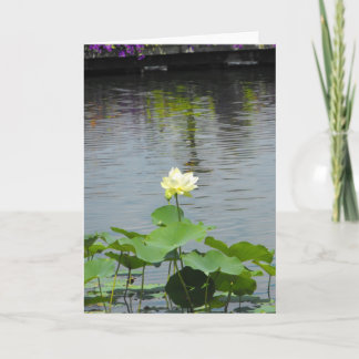 Cartão De Agradecimento Seu ~ 26 da mensagem