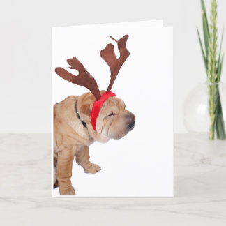 CARTÃO DE AGRADECIMENTO SHAR PEI COM PLACA DE NATAL DE ANTLERS