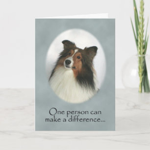 Cartão De Agradecimento Shetland Sheepdog Thank You Card