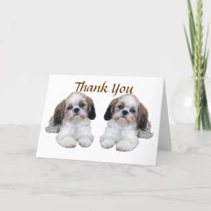 Cartão De Agradecimento Shih Tzu Puppies Thank You Card