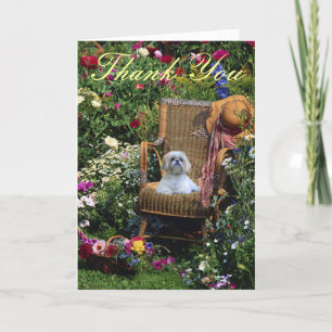 Cartão De Agradecimento Shih Tzu Thank You Card Garden