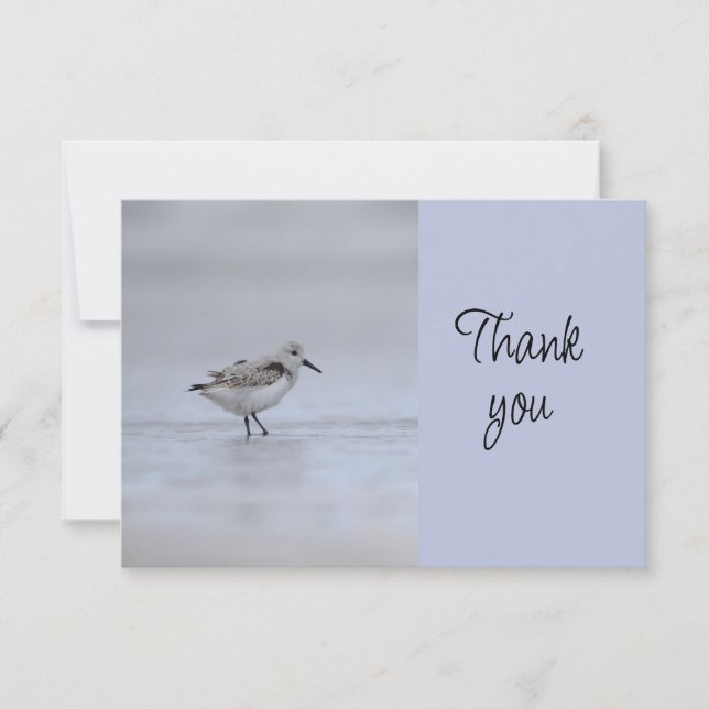 Cartão De Agradecimento Shore Bird Event Volunteer Thank You (Frente)