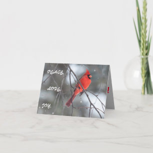 Cartão De Agradecimento Silent Wonders Christmas Greeting Card Cardinal