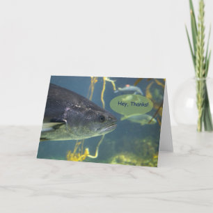 Cartão De Agradecimento Silver Salmon Obrigado 2