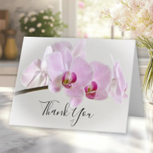 Simpatia Funeral da Flor Orquídea Rosa Obrigado
