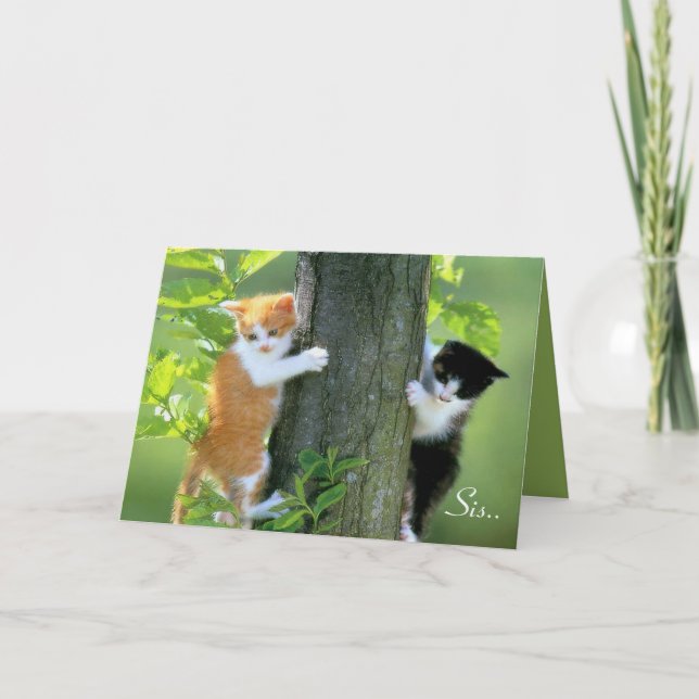 Cartão De Agradecimento Sis, Obrigados Por Estar Lá. (Frente)