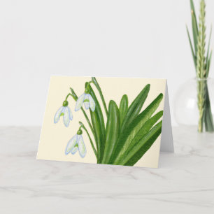 Cartão De Agradecimento Snowdrops card