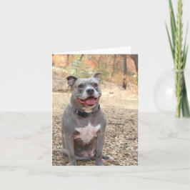 Cartão De Agradecimento Sorriso Pitbull "Ouvido-a-Ouvido" Obrigado Nota