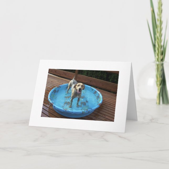 Cartão De Agradecimento Sou eu bonito ou que? (Frente)