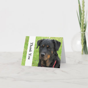 Cartão De Agradecimento Spirit Rottweiler Thank You Note Card